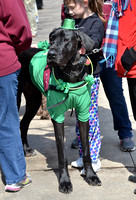 2015 St. Patricks Day Parade